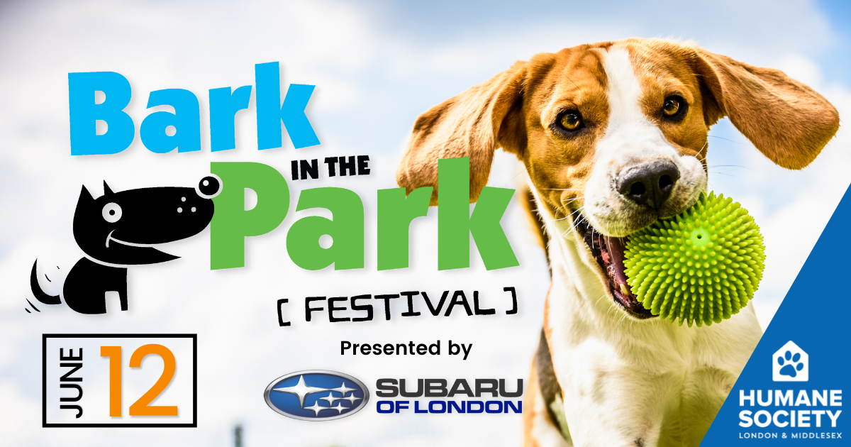 Bark in the Park 2022 FM96 London